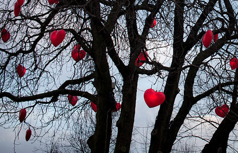 小七电话在线网页轰炸